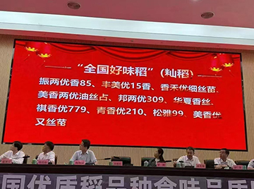 广西5个籼稻品种获全国金奖